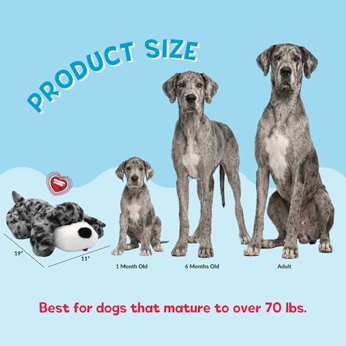Image of Snuggle Puppy Heartbeat Toy (Large), Breed Buddies Great Dane | Calming, crate training comfort, heat pack, new puppy essentials, first nights, sleep, large breeds 70 plus lbs