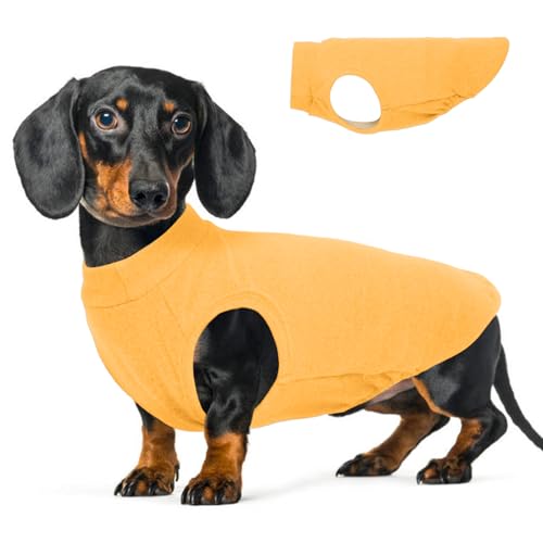 Image of Stretch Fleece Dachshund Sweater for Chilly Days, Yellow, L | Warm Sleeveless Dachshund Clothes, Lightweight Breathable Pullover Sweatshirts for Outdoor Movement, Wiener Dog Clothes