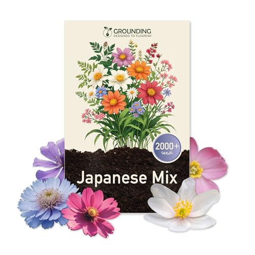 Grounding - Semi di Mix Prato Fiorito Giapponese, 2000+ semi, altezza max 30cm - fioriture in tanti colori - Ideale per aiuole, bordure - Semina facile - Attira api e farfalle - Qualità Europea
