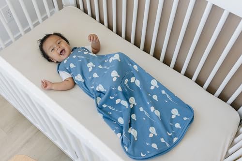 Image of Woolino 4 Season Ultimate Baby Sleep Sack, Merino Wool Baby Sleeping Bag, Organic Cotton Outer, Adjustable 2-24 Months Size Fits Infants & Toddlers - Hot Air Balloon