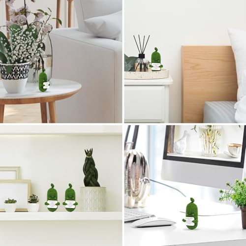 Image of Hoedia Emotional Pickle Small Gifts for Women Men Her Him