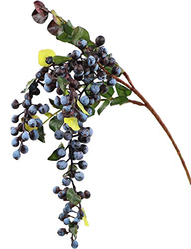 Rinlong 2Pcs Artificial Blueberries Fake Berries Stems Hanging Spray Frosted Blueberry Fall Floral Picks For Auntumn Fall Wreath Thanksgiving Christmas Festival Home Kitchen Party Farmhouse Decoration #TOP5
