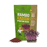 Todd's Seeds Rambo Sprouting Radish Seeds - Beautiful Red/Purple Colored Sprout, Non-GMO, Chemical Free, High Germination (1/2 Pound)