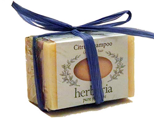 Herbaria Shampoo Cutie Bundle for Thicker Hair handcrafted all-natural soap with essential oils. Enjoy our other skin-friendly products.