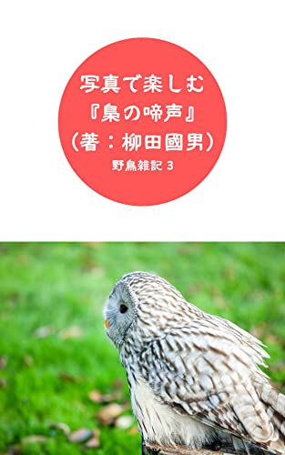 写真で楽しむ『梟の啼声』（著：柳田國男）: 野鳥雑記 3 鳥シリーズ