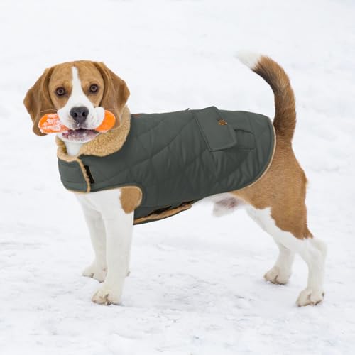 CITÉTOILE Wintermantel Hundemantel, Warme Winterjacken mit Fleece für Hunde,Hundejacke Hundekleidung Hundepullover Dog Coat mit Geschirr Loch für Chihuahua Dackel, Grau, XS