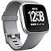 Wepro Replacement Bands Compatible with Fitbit Versa SmartWatch, Versa Lite SE Sports Watch Band for Women Men, Small, Gray