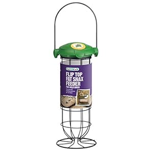 Gardman A04242 Flip Top Fat Snax Feeder Bird, Green, 10 x 9.5 x 7.5 cm