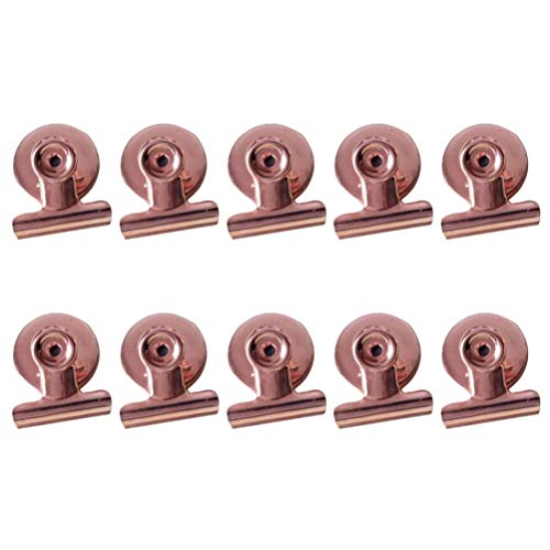 Clipe magnético para geladeira com 10 peças da Vosarea de aço inoxidável para buldogue magnético par