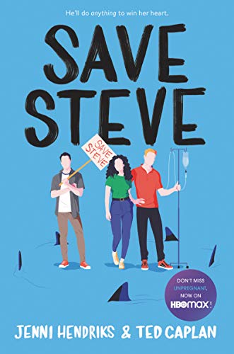 Save Steve view 2