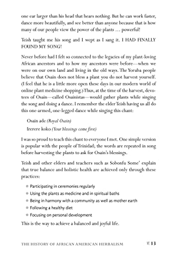African American Herbalism: A Practical Guide to Healing Plants and Folk Traditions - Image 3