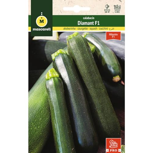 Mascarell Semillas, CALABACÍN, Semillas Huerto, CALABACÍN DIAMANT F1, Crea tu Propio Huerto Urbano y Cultivo en Casa, Plantas Hortícolas, 3 Gramos
