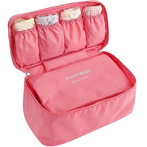 SVk Dream Travel Women's Storage Bag for Underwear Clothes Lingerie Cosmetic Pouch Suitcase Case Underwear Tote Bra Case B... - Review, Price and Buying Guide