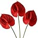 Meide Group USA 24" Real Touch Latex Artificial Tropical Anthurium Lily Flowers for Home Decor (Pack of 6) (Red)