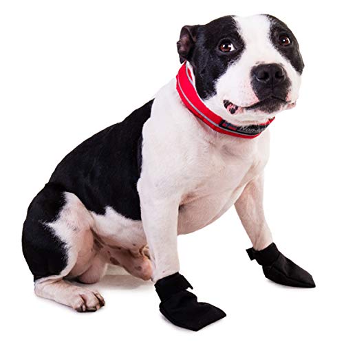 Non-Stop dogwear SOLID BOOTIES 4er | 131 | fester Pfotenschutz, Größe:L