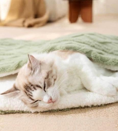 review Fluffy Dog Blanket, Fleece Pet Flannel Throw, Double-Side Plush Blankets for Cat, Washable Sherpa Dog Blanket, Sofa Covers Bed Travel Car, Pet Supplies (Green, 31 x 40 in)