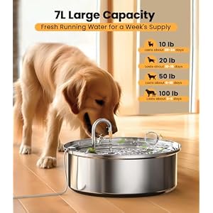 oneisall Dog Water Bowl Dispenser,7L Quiet Automatic Dog Water Dispenser Stainless Steel,100% BPA-Free for Cats and Small and Medium Large-Sized Dogs oneisall Dog Water Bowl Dispenser,7L Quiet Automatic Dog Water Dispenser Stainless Steel,100% BPA-Free for Cats and Small and Medium Large-Sized Dogs