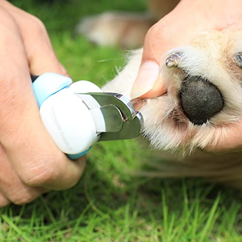 Amazon-Basics-Pet-Nail-Clipper-and-File-Professional-Grooming-Tool-with-Non-Slip-Handle-and-Safety-Guard