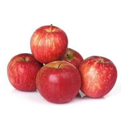 Fresh Baby Apple Shimla, 1kg (10-12 Pc)