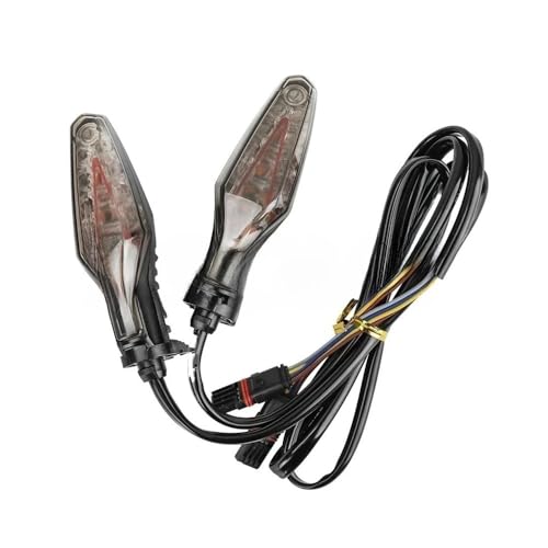 Clignotant LED et feu arrière de frein moto pour S1000RR R1250GS