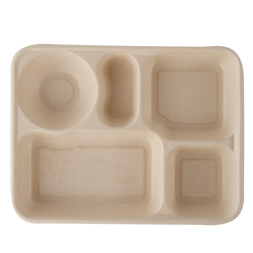 Restaurantware Pulp Tek - Recipientes de 1,219.0 g para llevar, 100 recipientes sostenibles, tapas se venden por separado, 5 compartimentos, platos de bagazo hechos de fibras de caña de azúcar, aptos