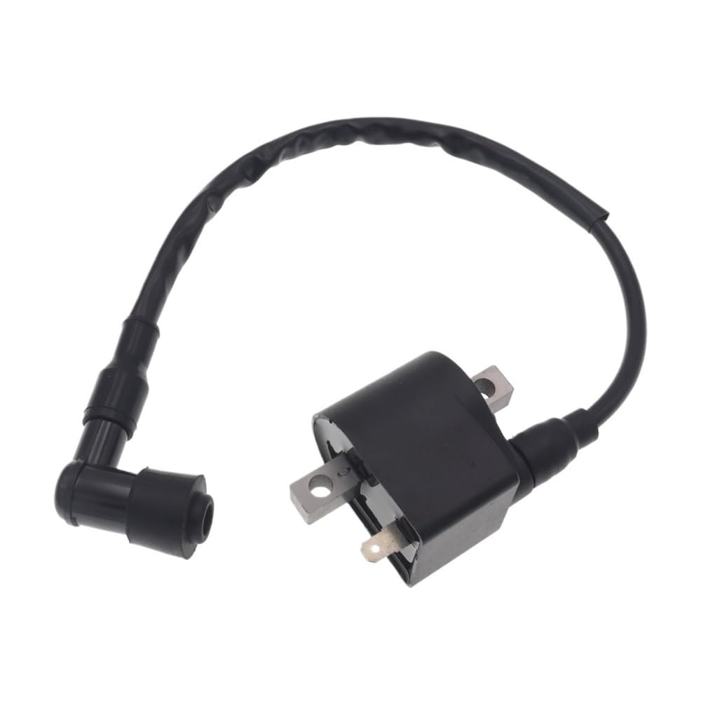 Bobina de encendido moto 100cc y ATV 50cc compatible con Suzuki LT50 LTA50 AX100 A100