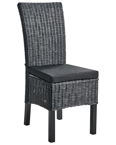 Lot de 2 Chaises de Salle à Manger en Rotin Tressé avec Coussins Style Boho Dossier Haut Salle à Manger Salon Noir Andes