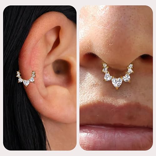 Daith Piercing Jewelry Earrings for Women Cartilage Helix Hypoallergenic by ShineRose - Used condition - Image 3