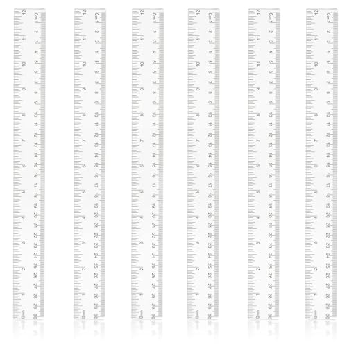 6 Stück Kunststoff Lineal 30 Cm / 12 Inch Transparentes Lineal Präzision Lineal mit Metrische&Inch-Skala Ruler Messwerkzeug für Schule Geprägte Zentimeter Einteilung Zuhause Büro Grundschule