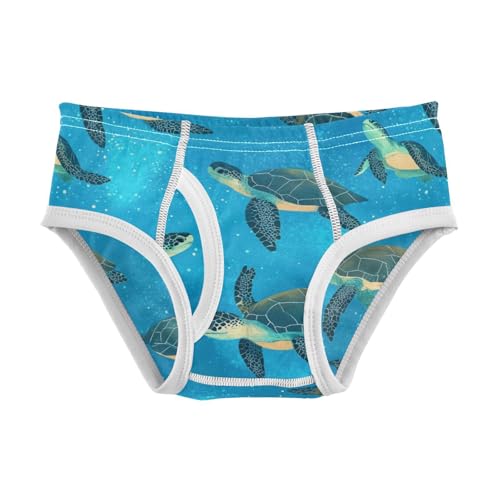 Wusikd Sea Turtles Boys' Underwear Cotton Galaxy Boys Briefs Soft Toddler Underwear 2T