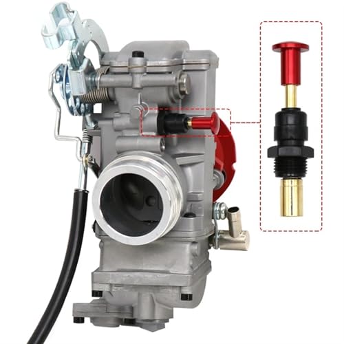 PCq Fcr-Mxp 28mm 31mm 35mm 37mm 39mm 41mm I[goCLu^[X^[g_p[zbgX^[gouzbgX^[g{^ I[goCLu^[ Lu^[(Red)