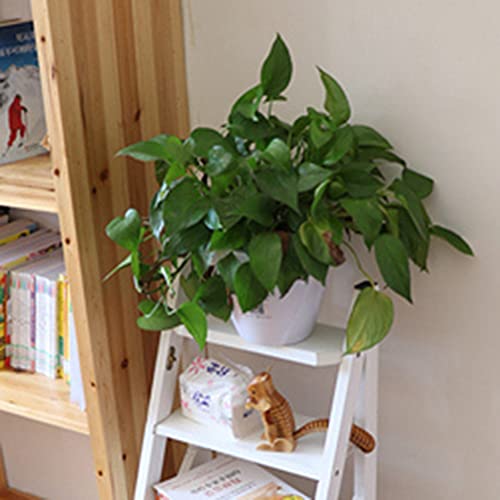 Taburete plegable de 3 peldaños de madera con escalera de tijera portátil 5