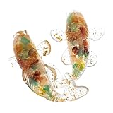 Photo Gallery toddmomy 2 statuette koi in cristallo naturale decorazione da tavolo con pietre agata e foglia fortuna e elegante per casa e ufficio Photo Gallery toddmomy 2 statuette koi in cristallo naturale decorazione da tavolo con pietre agata e foglia fortuna e elegante per casa e ufficio