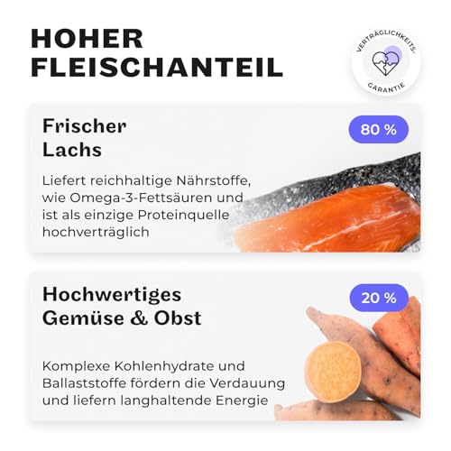 HEY HOLY Premium Hundeleckerlis für Bulldogen 100% getreidefrei | Hunde Snacks | 4 x 150 g Leckerli für ausgewachsene Bulldogen mit Lachs | Hochverträglich aus natürlichen Zutaten