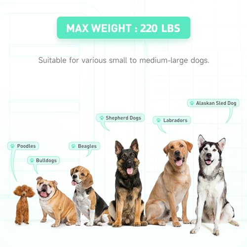 GZYSINFLA Aufblasbare Rampe für große Hunde, schwimmende Haustierrampe bis 100 kg, aufblasbare Bootsleiter, mit Pumpe/Seil/Reparaturset, rutschfestes PVC-Gewebe