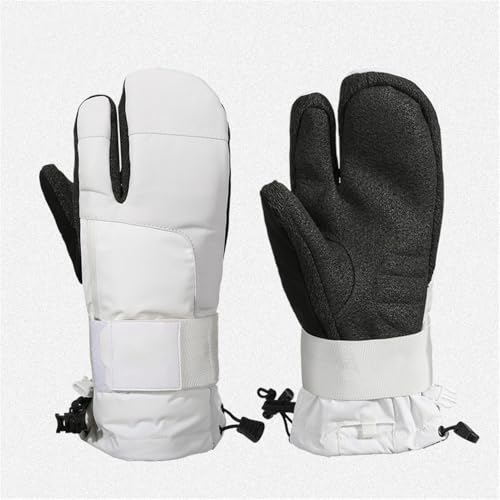 YƃfB[X̃Xm[{[hO[uA3{w̑ϖՐ@ہAghƑϊAXgK[h̎܁AzCgAM