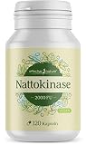 Nattokinase hochdosiert mit 100 mg pro Kapsel (2000 FU) - Ohne Vitamin K - 120 Nattokinase Kapseln für 4 Monate - Natto-Extrakt aus fermentierten Sojabohnen - Vegan und ohne Zusätze