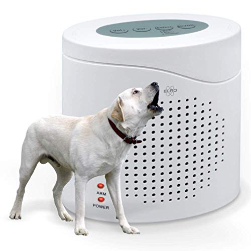 Les meilleurs chien de garde électronique 2022 Comparatif et Avis