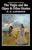 The Virgin and the Gypsy (Wordsworth Classics)
