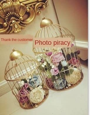 Amazon.co.jp: 創造的な鳥かご ヴィンテージアイアンバードケージ