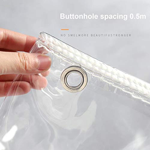Lona transparente de PVC con protección solar para todo clima 3