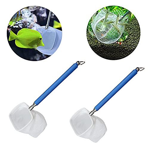 YZSZ Guadino per Acquario con Manico Blu Rete da Pesca per l'acquario Mini Rete da Pesca per Acquario Regolabile Acquatici Adatti per Uso Domestico e Acquario Adatto per Molte Occasioni Piazza - Image 5