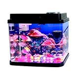 Mini Fish Tank Small Aquarium 1 Gallon Fish Bowl 6 Color Auto-Looping Light 3 in 1 Quiet Pump with Filteration & Oxygenation & Circulation,Submarine Background,Thickened Base