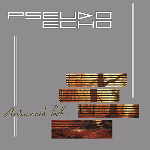 Pseudo Echo