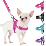 SlowTon No Pull Small Dog Harness and Leash Set with Front Clip