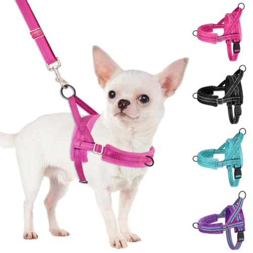 SlowTon No Pull Small Dog Harness and Leash Set with Front Clip