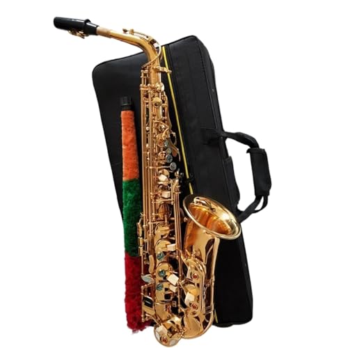 E AgTbNX y vtFbViTbNX }EXs[Xt vtFbVTbNX