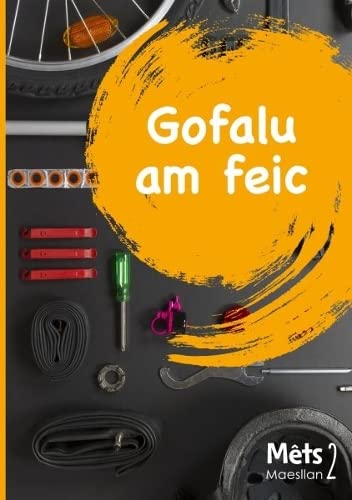 Mêts Maesllan 2 - Gofalu am Feic