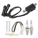 Bobina de encendido Torvex, kit de bujía 30530-413-003 Compatible con CB250N CB250NA CB400N CB400NA CB400T Halcón, Reemplazo de piezas de motor de motocicleta