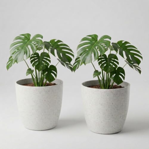 Image of YUCCABE ITALIA SHERA Stella 10 Inch Plastic Plant Pot for Home Decor Indoor Plant Pots for Living Room Plastic Flower Pot for Garden (Stone White, 10 INCH - 2 Pcs)